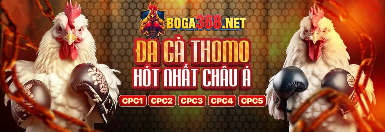 Hình ảnh chính Zbet Login - Câu hỏi thường gặp